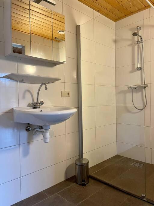 Unieke Houten Villa Met Sauna In Twente - 6P Den Ham Exteriér fotografie