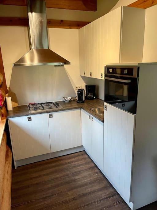 Unieke Houten Villa Met Sauna In Twente - 6P Den Ham Exteriér fotografie
