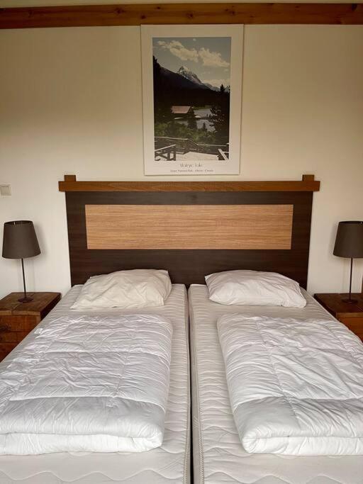 Unieke Houten Villa Met Sauna In Twente - 6P Den Ham Exteriér fotografie