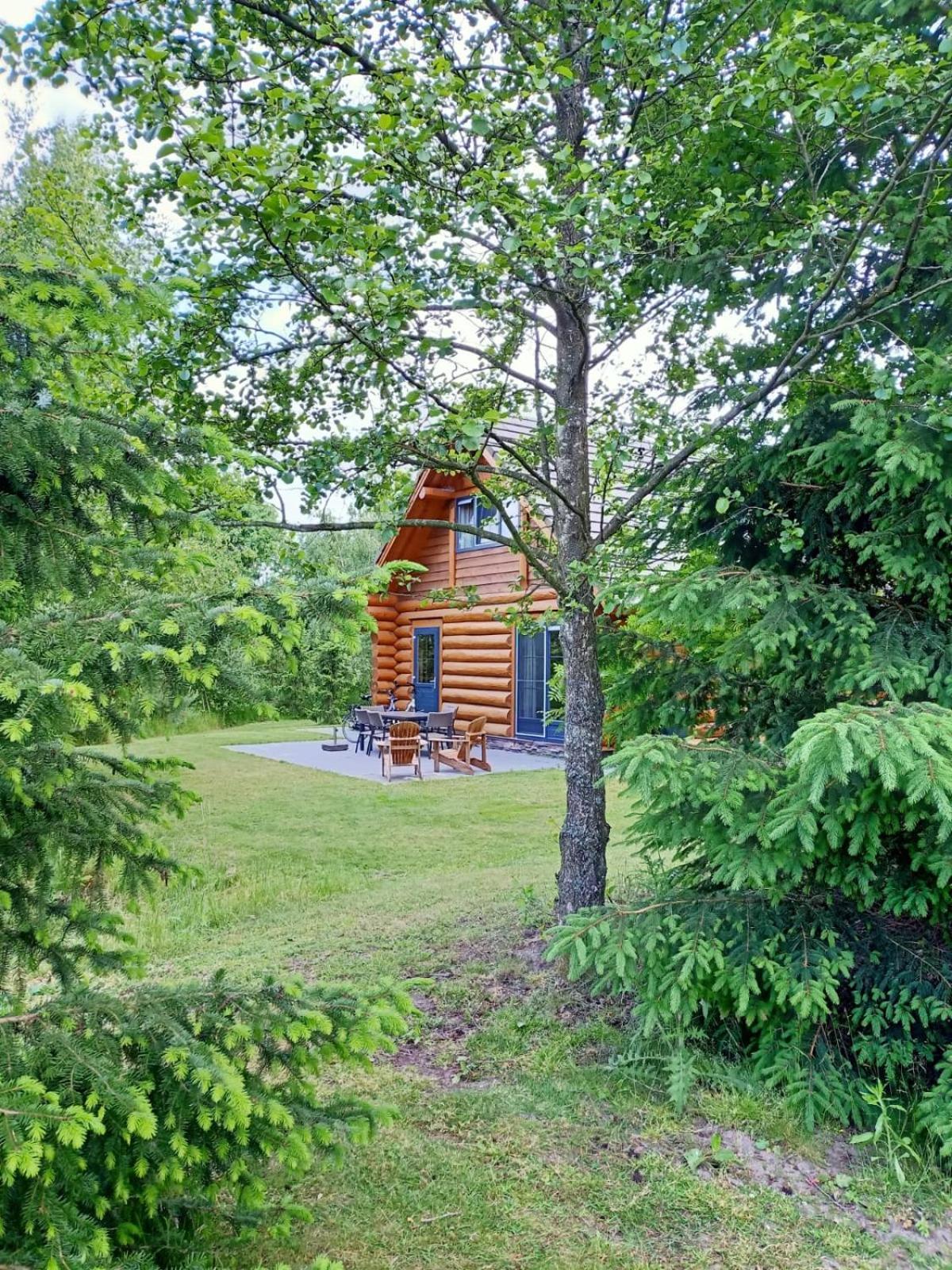 Unieke Houten Villa Met Sauna In Twente - 6P Den Ham Exteriér fotografie