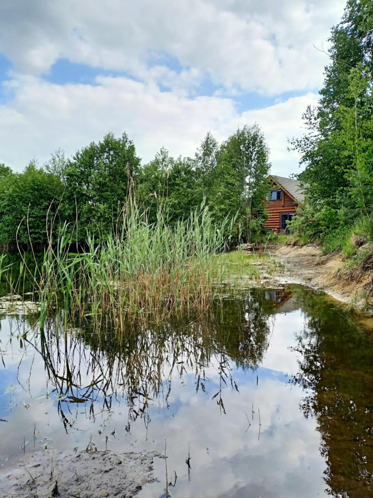 Unieke Houten Villa Met Sauna In Twente - 6P Den Ham Exteriér fotografie